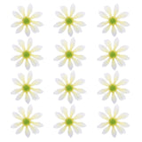 12 Pcs Artificial Daisies Flower Heads, Fake Chrysanthemum Heads, White Daisies