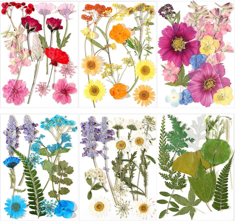 72 Pcs Dried Pressed Flowers for Resin Molds Real Pressed Flowers Dry Leaves Bul Dried Flower