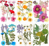 72 Pcs Dried Pressed Flowers for Resin Molds Real Pressed Flowers Dry Leaves Bul Dried Flower