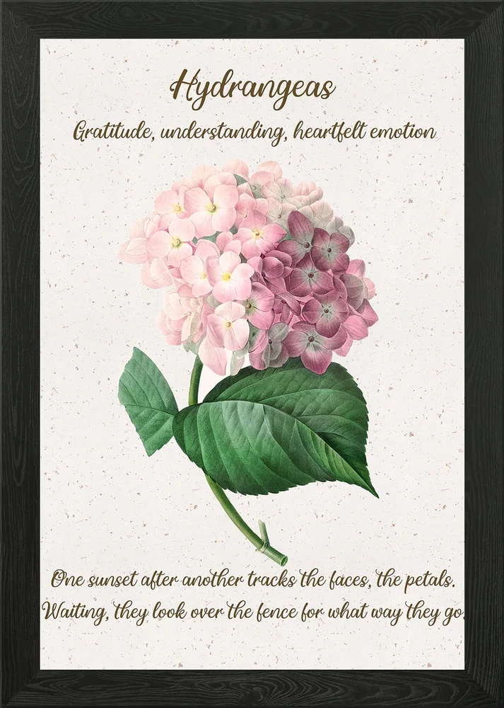 Hydrangea Flower Language Framed Wall Art Poster Canvas Print Picture Hydrangea