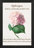 Hydrangea Flower Language Framed Wall Art Poster Canvas Print Picture Hydrangea