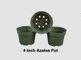 4" Round Green Azalea Pots - Plastic Flower, Herb, & Perennial Growing - 200 Ct Flowering Plants