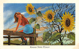 #K1623     KANSAS    STATE FLOWER    POSTCARD,   SUNFLOWER Sunflower