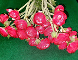 Ranunculus Flowers Artificial 12 Stems 22