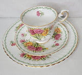 Vtg Queens Rosina China Carnation Flowers Teacup Saucer Plate 3 Pc Pink Yellow Carnation