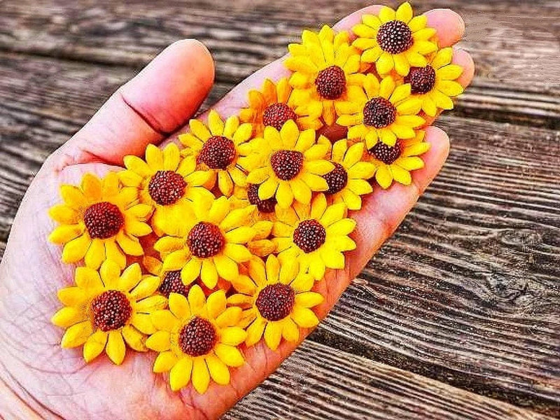 Sunflowers Heads Mulberry Paper Flower Yellow Sunflower with Brown Centre Miniat Sunflower