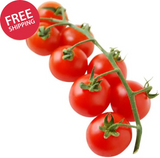 Large Red Cherry Tomato Seeds for Planting Heirloom Non-GMO Vegetable Garden Garden Plants