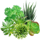Artificial Succulents, 6pcs Mini Fake Plants For Home Office Decor, Green Green Plant
