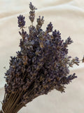 2021 Tennessee Grown Dried French Lavender Flowers 6Ó To 9Ó Dried Flower