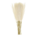 20pcs Dried Faux Pampas Grass 21 Inch Artificial Fake Fluffy Pampas Grass Dec... Pampas Grass