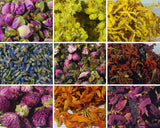 Various Dried Flowers 66+ Types! Soap, Bath Bomb, Candle, Biodegradable Dried Flower