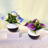 Artificial calla lily plant with blue and purple flowers in white pot, green leaves