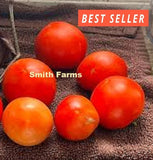 50+ Seeds Al-Kuffa Tomato Juicy Easy to Grow Vegetable Garden Planting Garden Plants