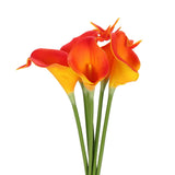 6 Pcs 13 Inch Artificial Calla Lily Fake Flowers Real Touch, Orange/Yellow Lily