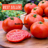 50+ Seeds Considerable Tomato Juicy Vegetable Easy Growing Garden Tomatoe Garden Plants