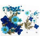 Real Dried Flower Natural Dry Plants Candle Epoxy Necklace Making Craft DIY b Dried Flower