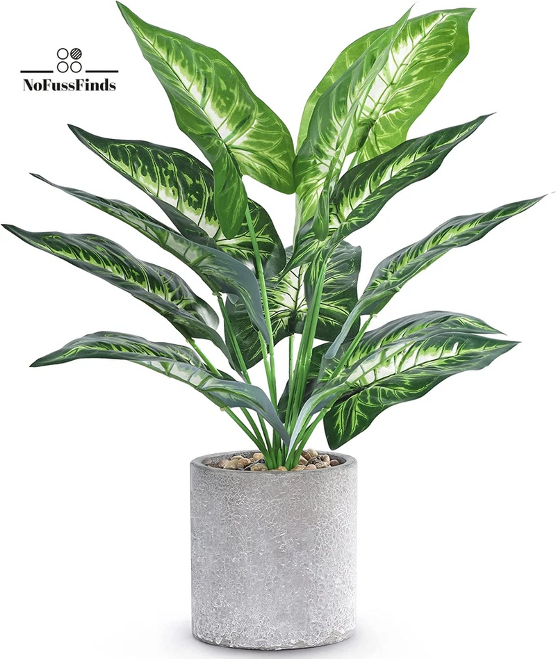 Small faux potted plant with green variegated leaves in a light gray textured pot