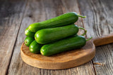 Picolino Mini Cucumber Seeds for Planting (10 Seeds) - 5-6 Inch Garden Vegetable Garden Plants
