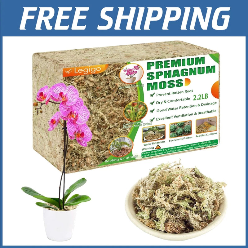 Moss for Potted Plants & Gardening - 2.2lbs Orchids
