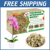 Moss for Potted Plants & Gardening - 2.2lbs Orchids