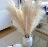 artificial pampas grass decor Pampas Grass