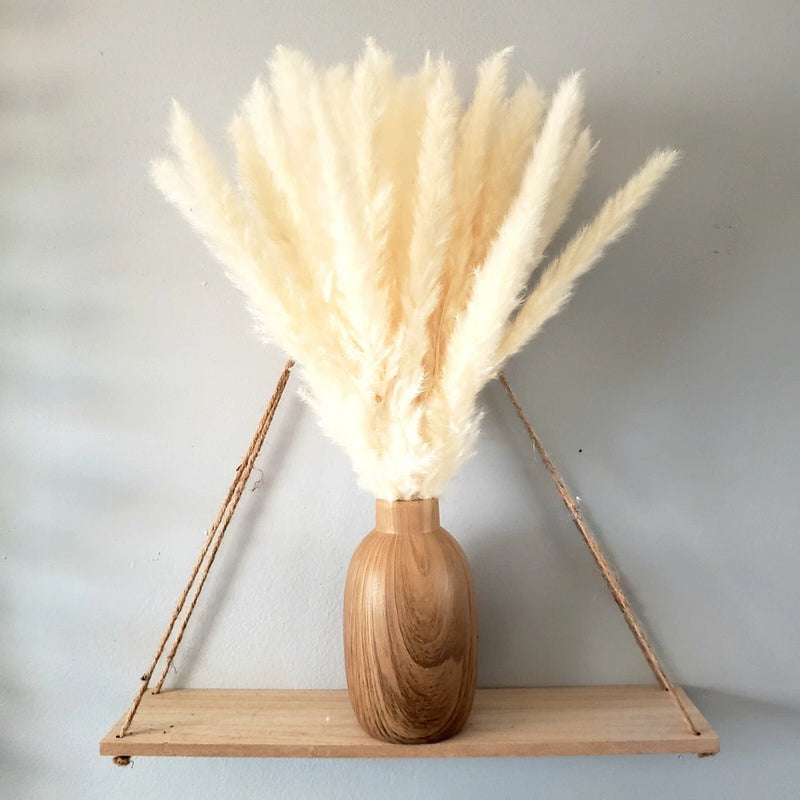 PlutoGardens Natural Dried Pampas Grass - 35 Pieces, 17 in White Pampas Grass Pampas Grass