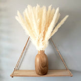 PlutoGardens Natural Dried Pampas Grass - 35 Pieces, 17 in White Pampas Grass Pampas Grass