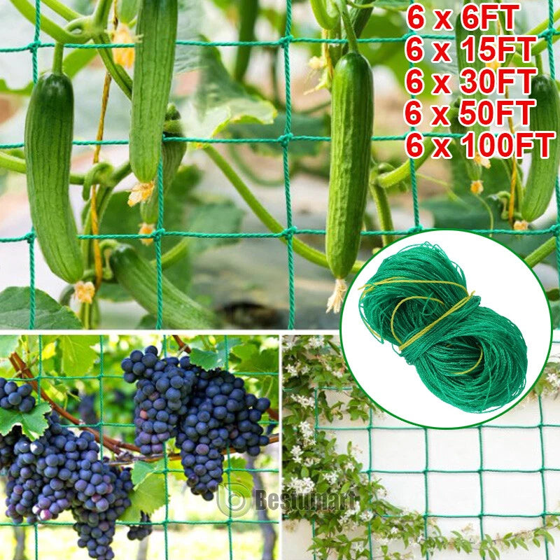 6-100FT Garden Plant Climbing Net Trellis Netting Mesh Fruits Vine Veggie Bean Garden Plants