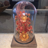 Vintage Dried Flowers Glass Dome Wood Base Dried Flower