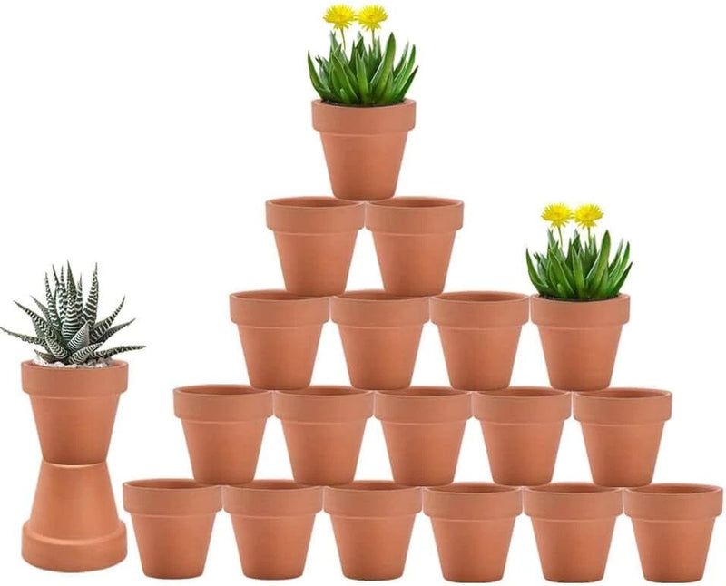Macetas de terracota y terracota de 3 pulgadas con drenaje Paquete de 20 macetas Garden Plants