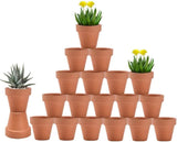 Macetas de terracota y terracota de 3 pulgadas con drenaje Paquete de 20 macetas Garden Plants