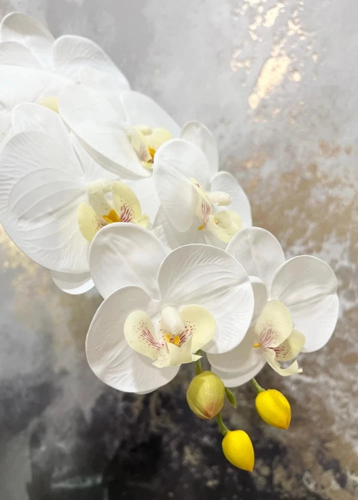 NWT NWT 36" Real Touch Large Bloom Phalaenopsis Orchid- Flowers- White One Stem Dried Flower