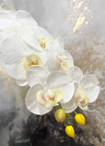 NWT NWT 36" Real Touch Large Bloom Phalaenopsis Orchid- Flowers- White One Stem Dried Flower