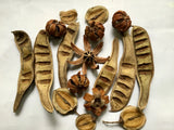 18pc Dried Decor Primitive Rustic Dried Flower