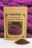 20000+ Creeping Thyme Seeds Purple Ground Cover Perennial Non-GMO Heirloom Flowering Plants