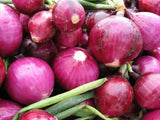 RED GRANO ONION 250 SEEDS NON-GMO FRESH FOR GARDENS Garden Plants