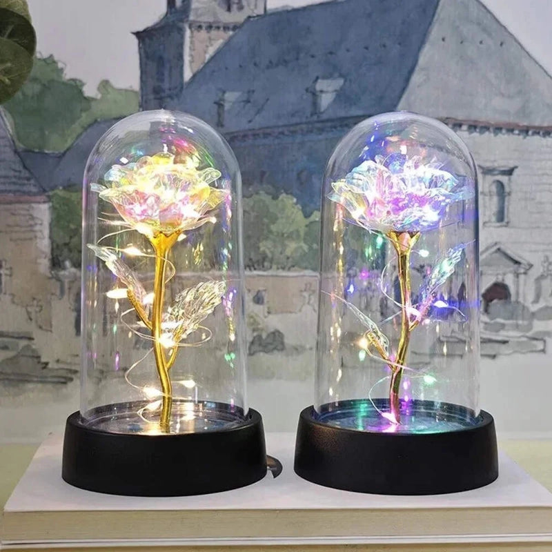 Pair of LED-lit artificial eternal roses in clear glass domes on black bases