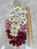 30+  Beautiful Dried Strawflower Heads Yellow, White, Pink Natural USA 2025 Dried Flower