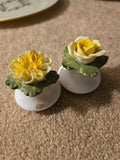 Yellow Vintage Aynsley Carnation & Rose Salt N Pepper Carnation