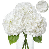 White Hydrangea Artificial Flowers - 3Pcs 22.44In Large Faux Hydrangea Flower... Hydrangea