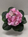 8" ARTIFICIAL Semi-Miniature African Violet  - no pot. PINK Roses