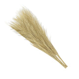 Faux Pampas Grass Fake Pampas Grass Decor, 17.7"/45cm / Golden / 3 Pcs Pampas Grass