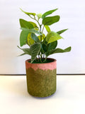 Artificial Indoor Tree Plants Faux Shrubs Plants Potted Green Decorative Indoor Green Plant