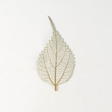 M&T 12PCS Real Pressed Dry leaves, floral supply for art candle FSS34 Dried Flower
