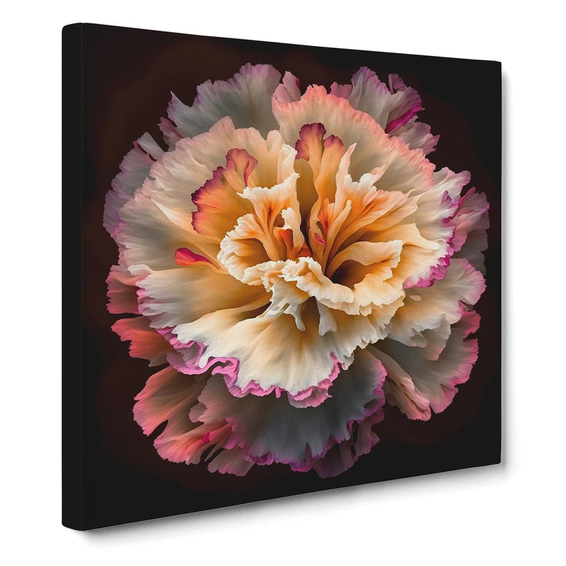 Framed canvas wall art with large pastel carnation bloom, pink and cream petals