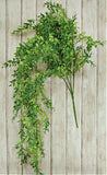 New Farmhouse LEMON BEAUTY GREEN GRASS PLANT Hanging Tear Drop Vine Stem Bush Green Plant
