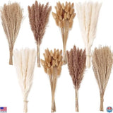 200PCS Dried Flower Bouquet Ð Pampas Grass Decor for Weddings & Boho Style Vases Pampas Grass