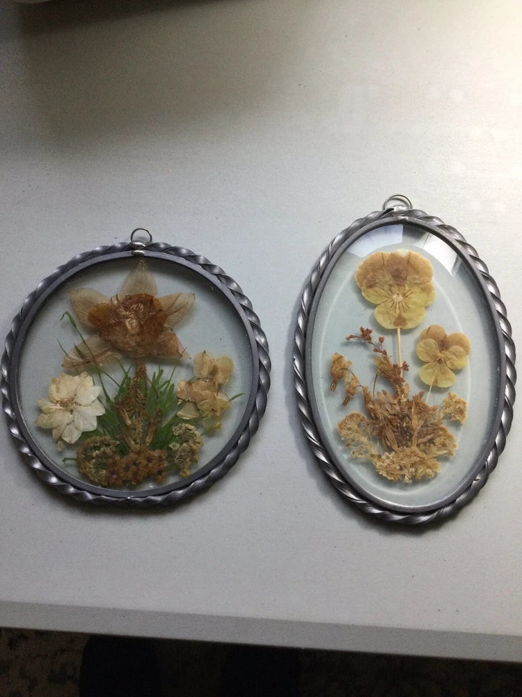 Oval pressed-flower suncatcher pair with dried blooms in silver-tone wire frames