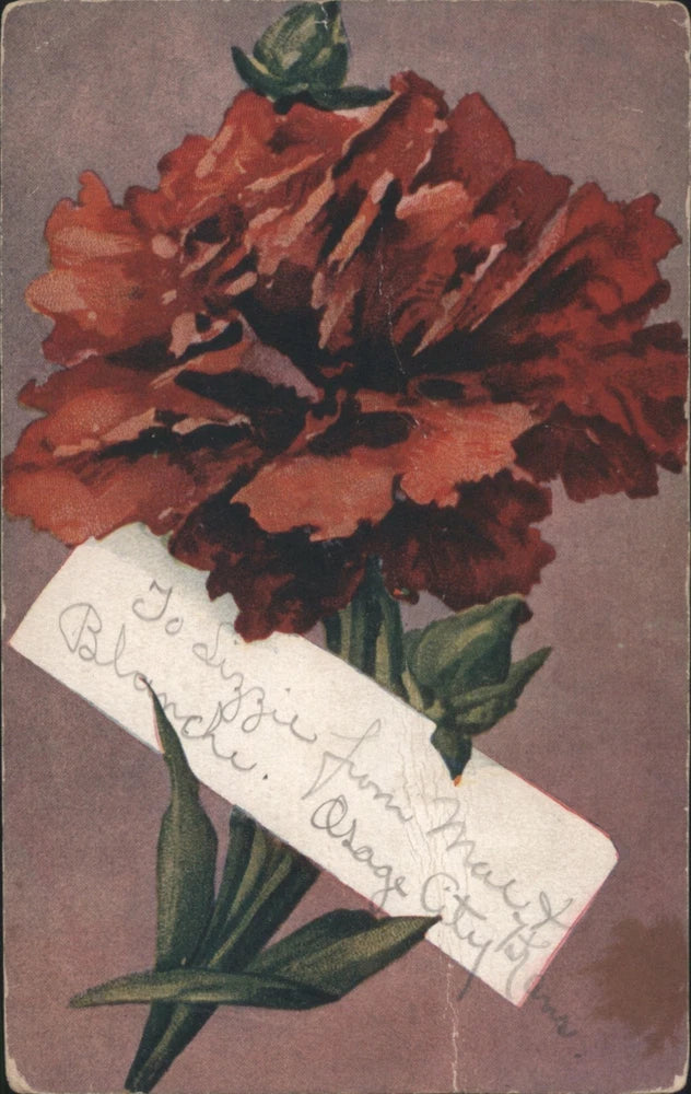 Red carnation flower postcard with handwritten message and green leaves