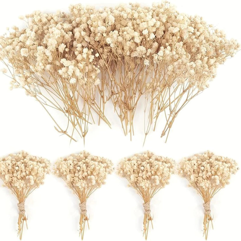 Ivory dried baby breath (gypsophila) mini flower bundles with thin stems